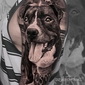 Tatuaż Pieseu na ręce motyw: 3D styl: realistyczne