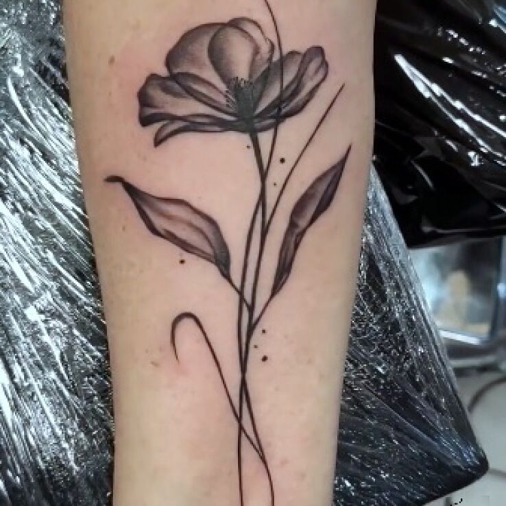 Tatuaż mak w motywie kwiaty i stylu kontury / linework na przedramieniu