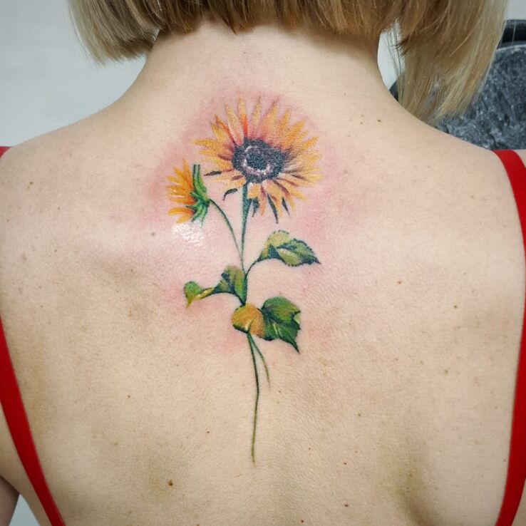 Tatuaż słoneczniki w motywie florystyczne i stylu realistyczne na plecach