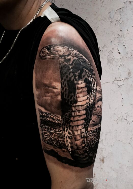 Tatuaż kobra w motywie czarno-szare i stylu realistyczne na ramieniu