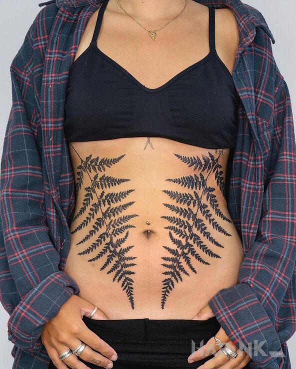 Tattoo Dwie niemałe paprocie in black and gray motif and realistic style on the stomach