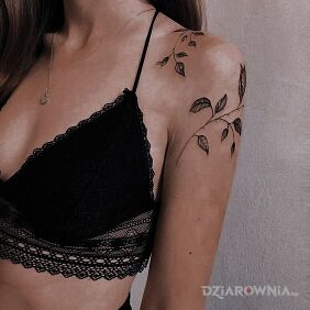 Tatuaż Gałązki oplatające bark na barku motyw: florystyczne styl: graficzne / ilustracyjne