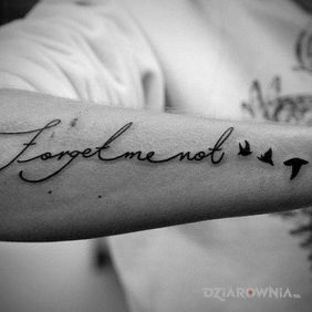 Tatuaż Forget me not na przedramieniu motyw: napisy