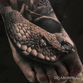 Tatuaż Waz na stopie motyw: zwierzęta styl: realistyczne