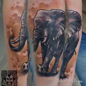 Tattoo Elephant On the arm motif: animals style: realistic