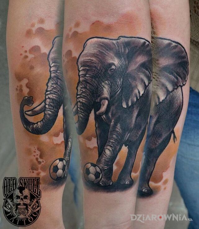 Tatuaż słoń w motywie zwierzęta i stylu graficzne / ilustracyjne na plecach