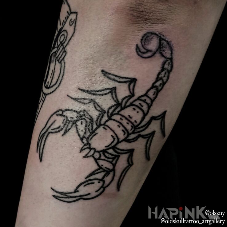 Tattoo Scorpio in animals motif and contour / linework style on the forearm