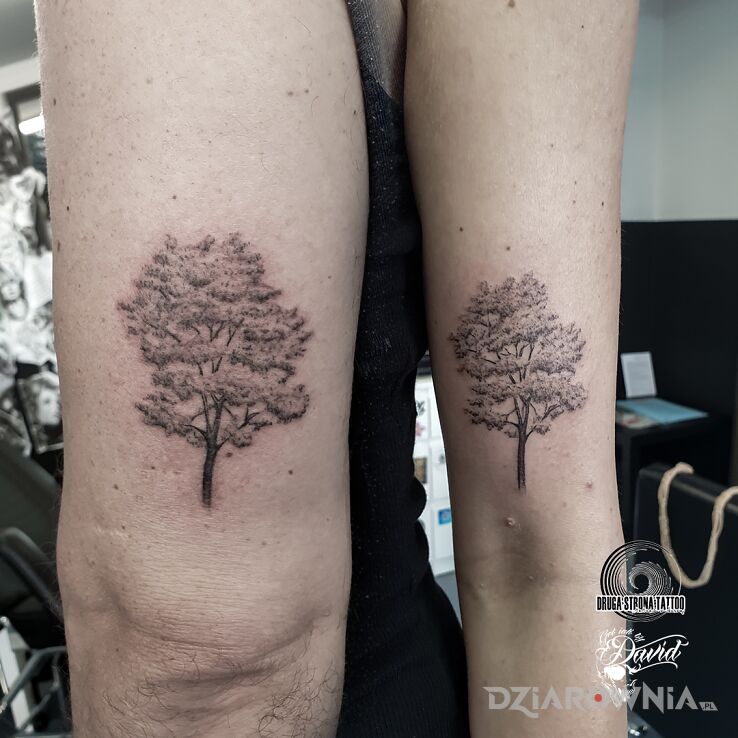 Tatuaż drzewka dla pary w motywie natura i stylu minimalistyczne na ramieniu
