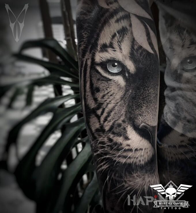 Tattoo Tygrys in animals motif and realistic style on the forearm