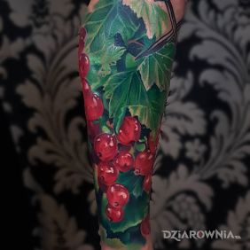 Tatuaż Czerwone porzeczki na przedramieniu motyw: 3D styl: realistyczne