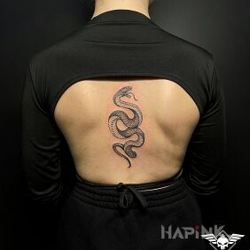 Tattoo Snake on the back motif: black and gray style: graphic / illustrative