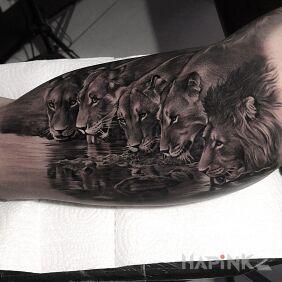 Tattoo Lions at the watering hole On the arm motif: animals style: realistic