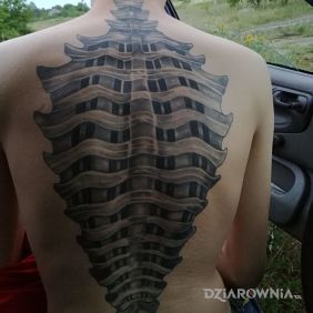 Tatuaż Kregosłup na plecach motyw: pozostałe