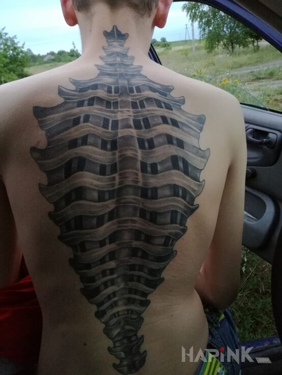 Tattoo Kregosłup in other motif on the back