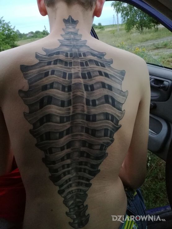 Tatuaż kregosłup w motywie pozostałe na plecach