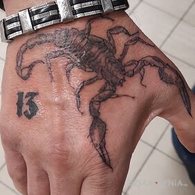 Tatuaż Skorpion i 13 na dłoni motyw: znaki zodiaku styl: graficzne / ilustracyjne