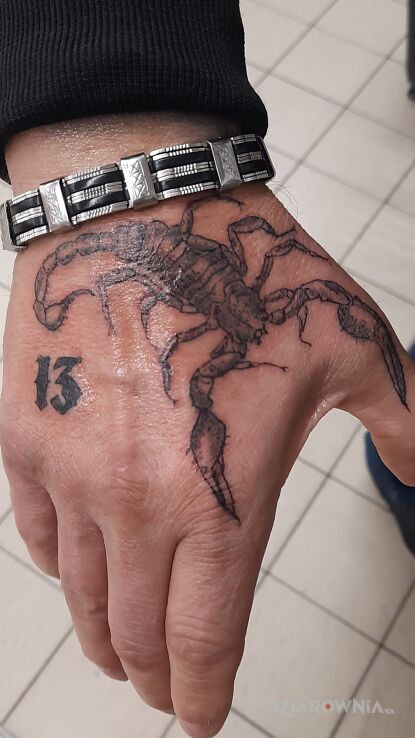 Tatuaż skorpion i 13 w motywie owady i stylu blackwork / blackout na dłoni