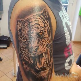 Tattoo Tiger on the upper arm motif: animals style: realistic