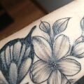 Pomoc - Małe krostki na tatuażu