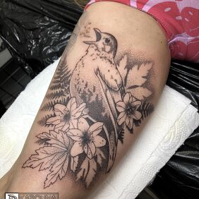 Tatuaż Ptaszyna na bicepsie motyw: czarno-szare styl: dotwork