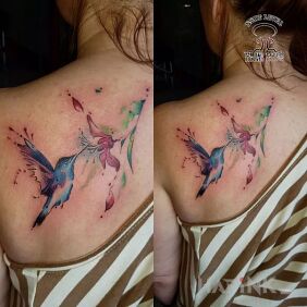 Tattoo Splattered ;) little hummingbird on the shoulder blades motif: flowers style: Watercolor
