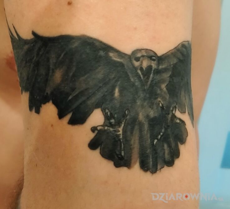 Tatuaż krók w motywie czarno-szare i stylu realistyczne na ramieniu