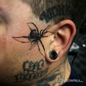 Tatuaż Pająk wchodzący do ucha na twarzy motyw: czarno-szare styl: realistyczne