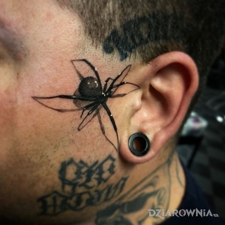 Tatuaż pająk wchodzący do ucha w motywie czarno-szare i stylu realistyczne na twarzy