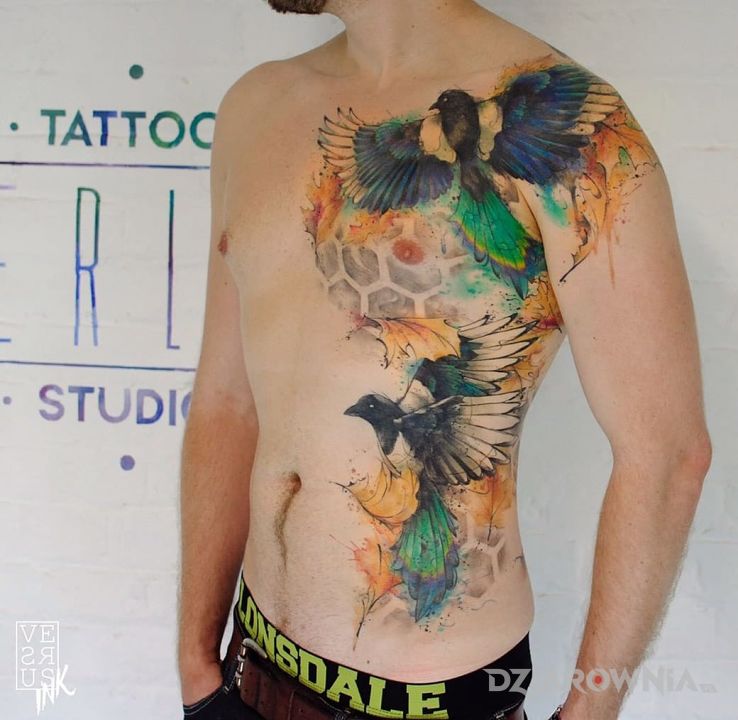 Tatuaż kolorowa klata w motywie zwierzęta na żebrach