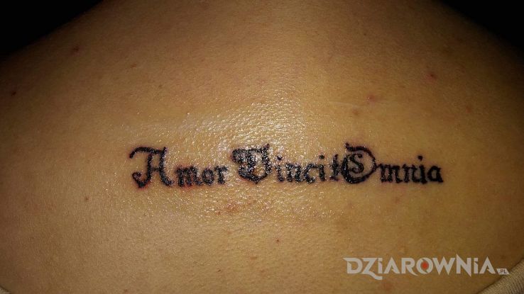 Tatuaż napis łaciną w motywie napisy na plecach