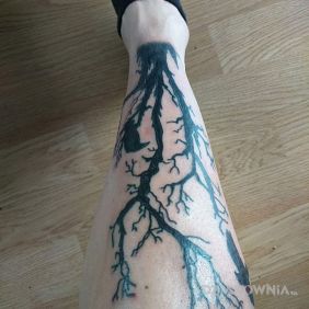 Tatuaż Kruki na nodze motyw: zwierzęta