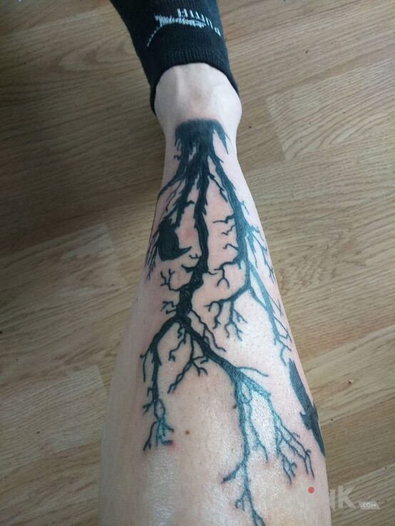 Tattoo Kruki in animals motif on the leg