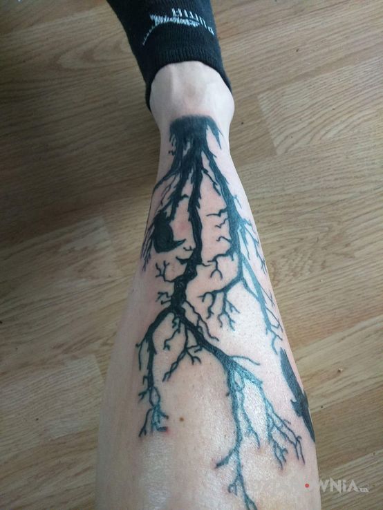 Tatuaż kruki w motywie zwierzęta na nodze