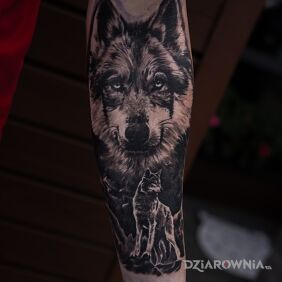 Tatuaż Wilk w lesie realizm na ręce motyw: czarno-szare styl: realistyczne