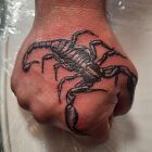 Kolejny moj skorpion