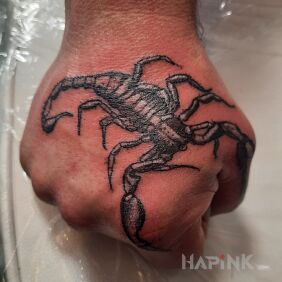 Tattoo Another scorpion of mine on the hand motif: black and gray style: realistic