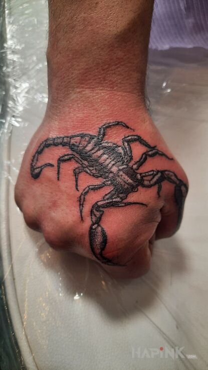 Tattoo Kolejny moj skorpion in black and gray motif and realistic style on the hand