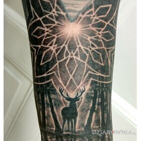 Tatuaż Sacred Geometry na przedramieniu motyw: czarno-szare styl: graficzne / ilustracyjne