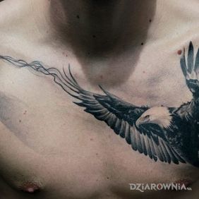 Tatuaż Orzel na klatce motyw: 3D styl: realistyczne