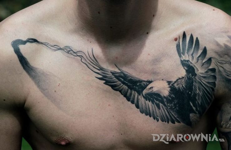 Tatuaż orzel w motywie 3D i stylu realistyczne na klatce