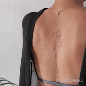 Tatuaż Tylko linie na plecach motyw: czarno-szare styl: minimalistyczne