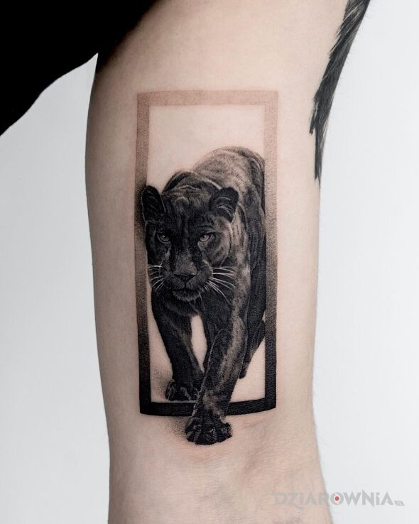 Tatuaż czarna pantera w motywie 3D i stylu realistyczne na bicepsie