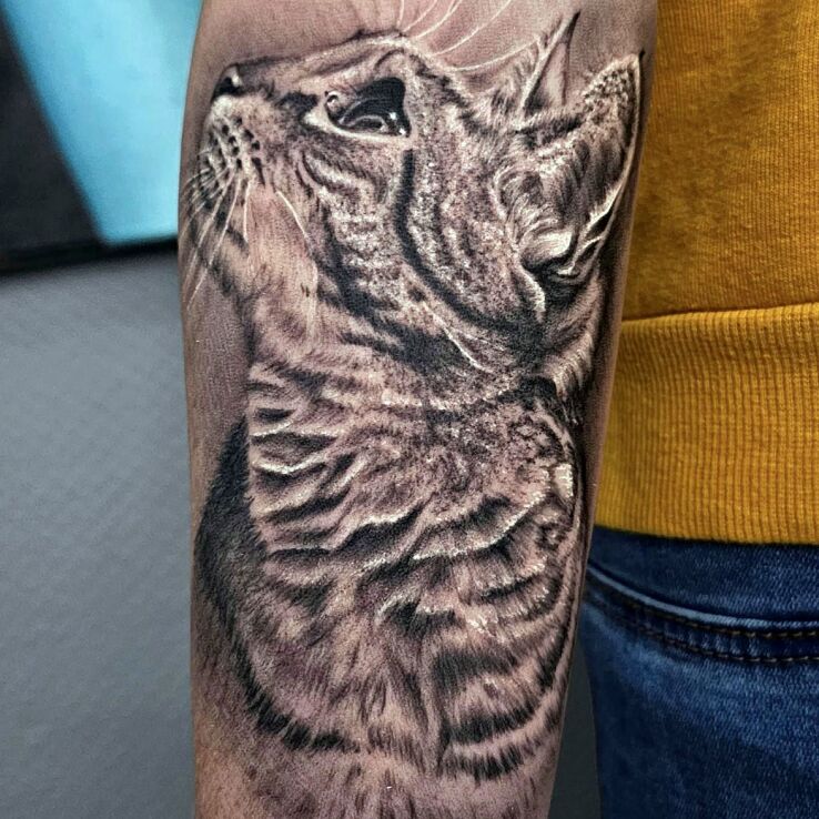 Tatuaż portret kota a miały być same łapki w motywie czarno-szare i stylu realistyczne na przedramieniu