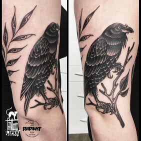 Tattoo Raven On the arm motif: animals style: graphic / illustrative