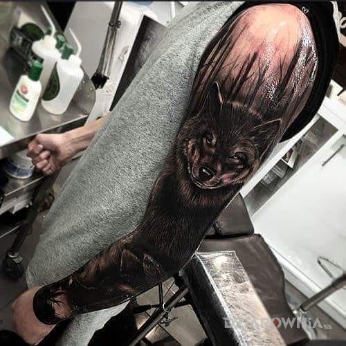 Tatuaż wilk w ciemności w motywie rękawy na przedramieniu