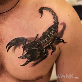 Tattoo Scorpio on the chest motif: animals style: realistic