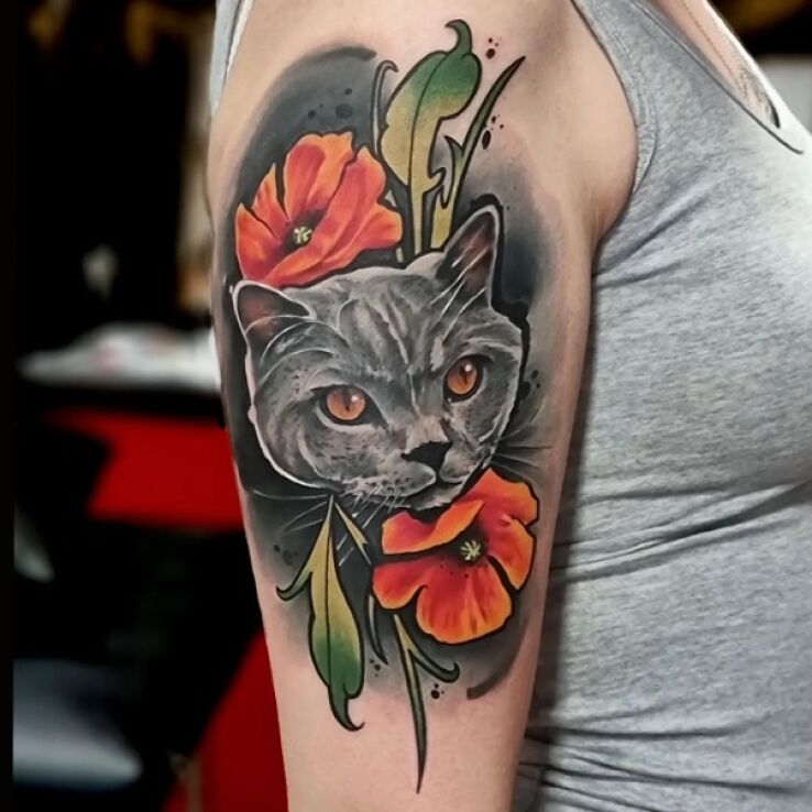 Tatuaż portret kotka w motywie kolorowe i stylu neotradycyjne na bicepsie