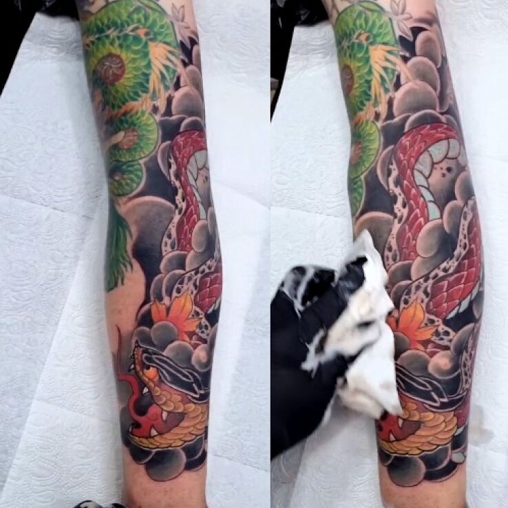 Tatuaż wąż japoński w motywie kolorowe i stylu neotradycyjne na przedramieniu