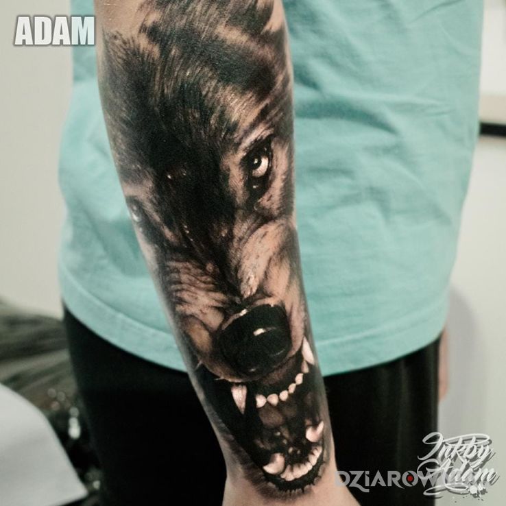 Tatuaż wilk na przedramieniu w motywie 3D i stylu realistyczne na przedramieniu