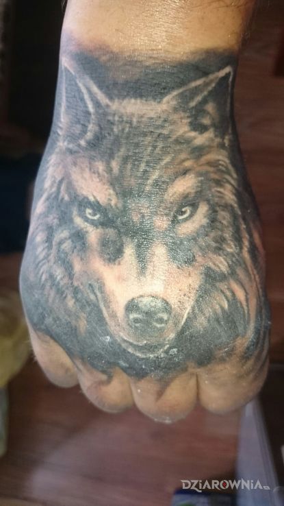 Tatuaż wilk oznacza siłę w motywie zwierzęta na dłoni